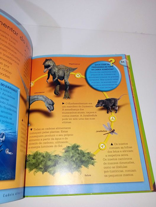 Tudo o que precisas de saber sobre Dinossauros