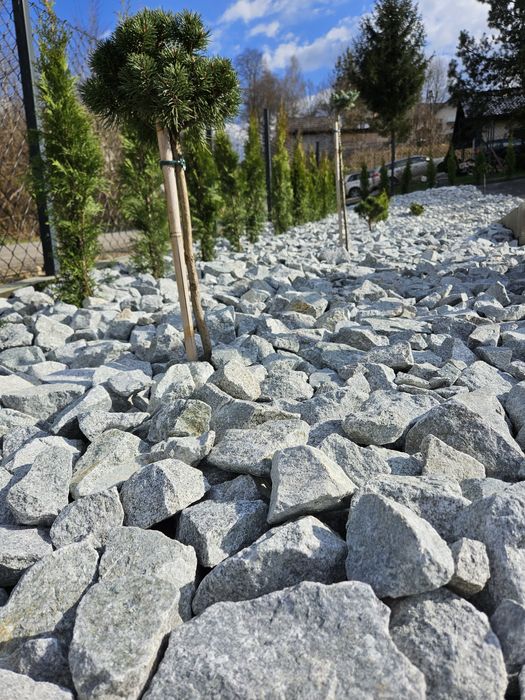 Grys granitowy fr. 16-22mm, kamień dalmatyńczyk, kamień ozdobny