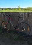 Gravel Giant Anyroad 2