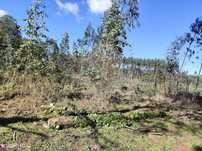 Terreno  para venda