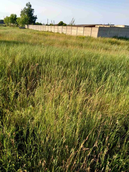 Земельна ділянка біля Києва 25 соток