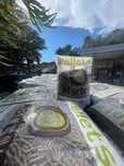 Pellets Martos 15kg