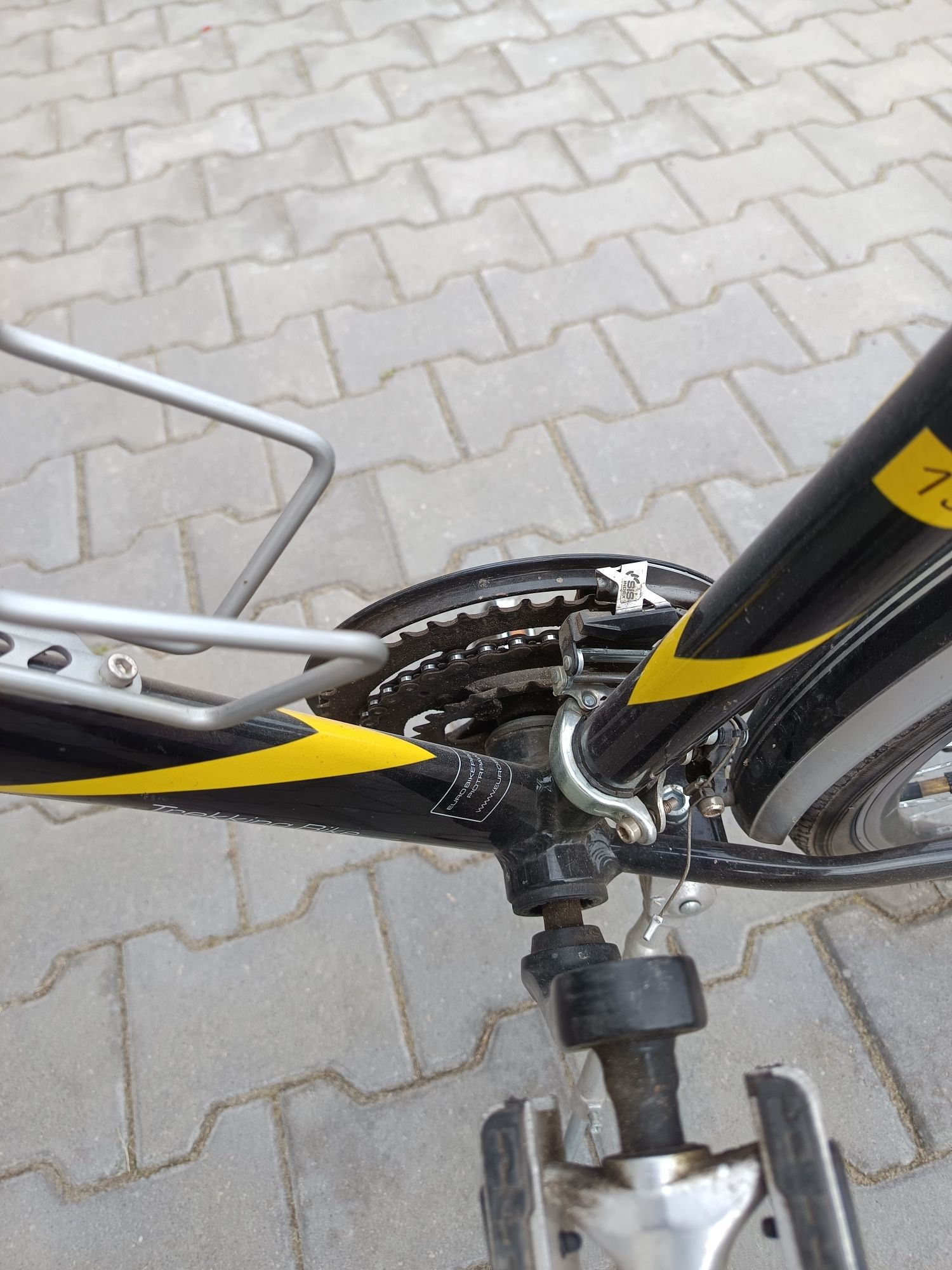 Rower Eurobike Basic+