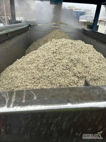 Wysłodki buraczane mokre prosto z produkcji świeże z dostawą