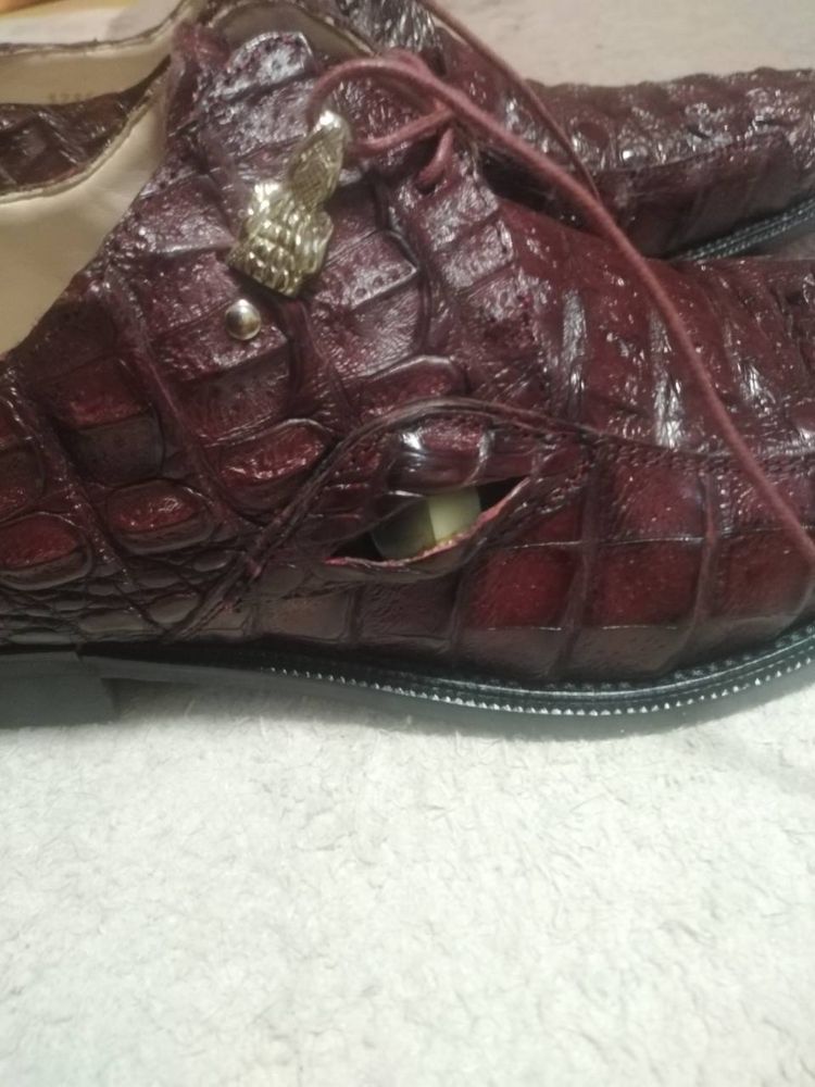 Genuine Alligator vero