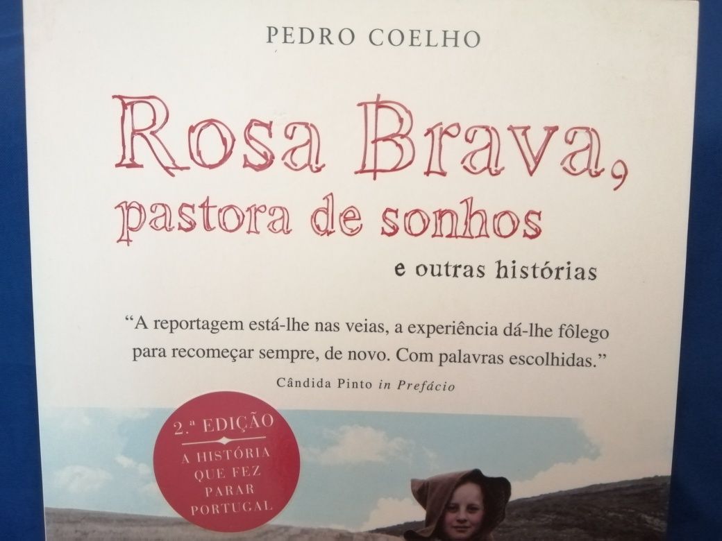 Rosa Brava, Jornalista Pedro Coelho