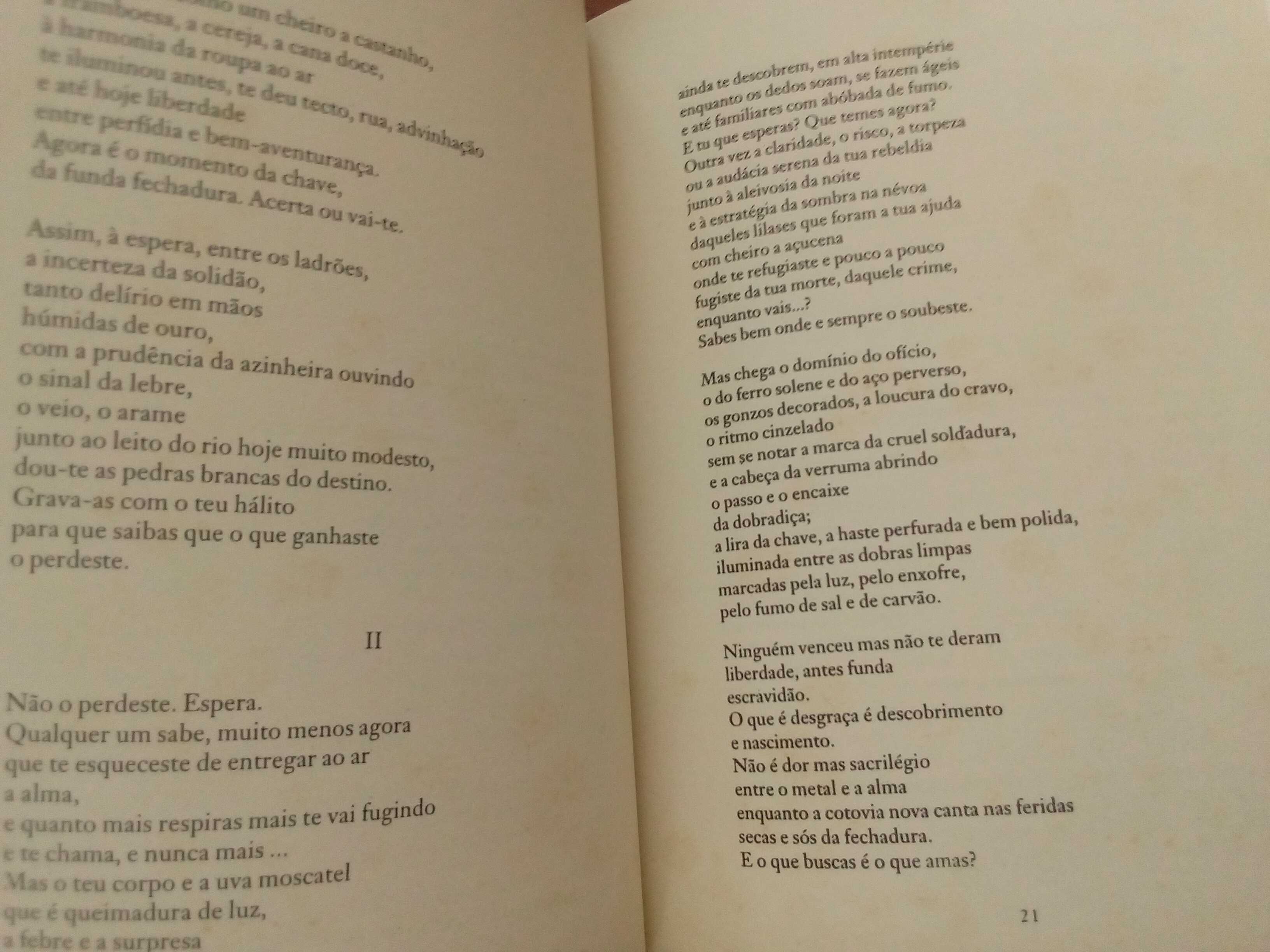 Di Versos 2 - Revista semestral de Poesia e Tradução