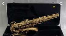Sax alto Eb - Wildman