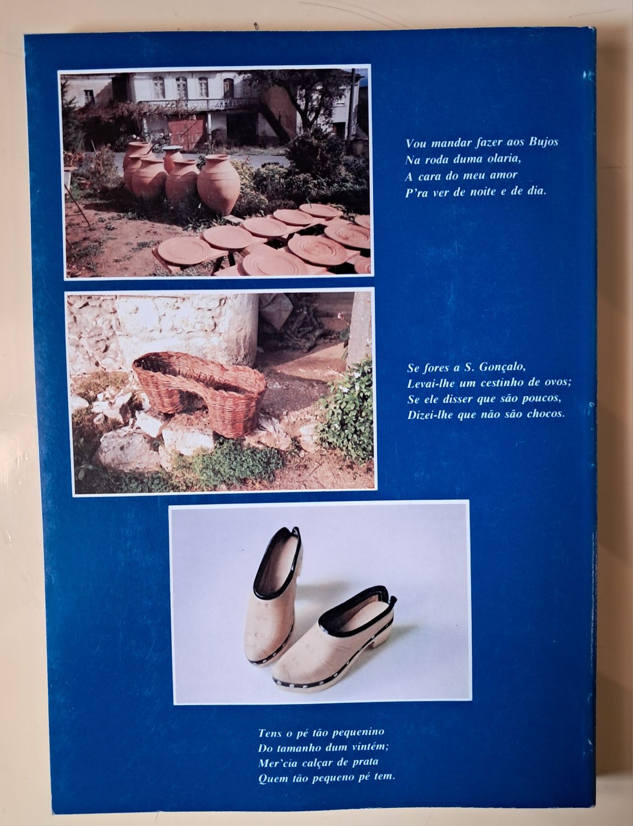 Livro- Roteiro do Artesão Português Beira Litoral, 1993. PORTES GRÁTIS
