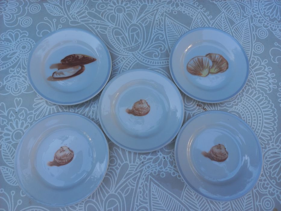 Pratos artibus Aveiro conchas