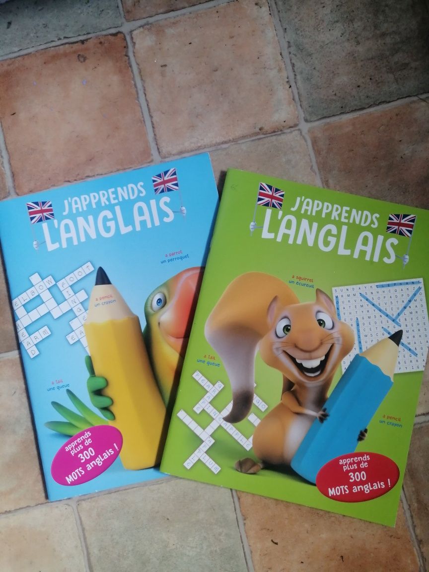 Ćwiczenia angielsko-francuskie *