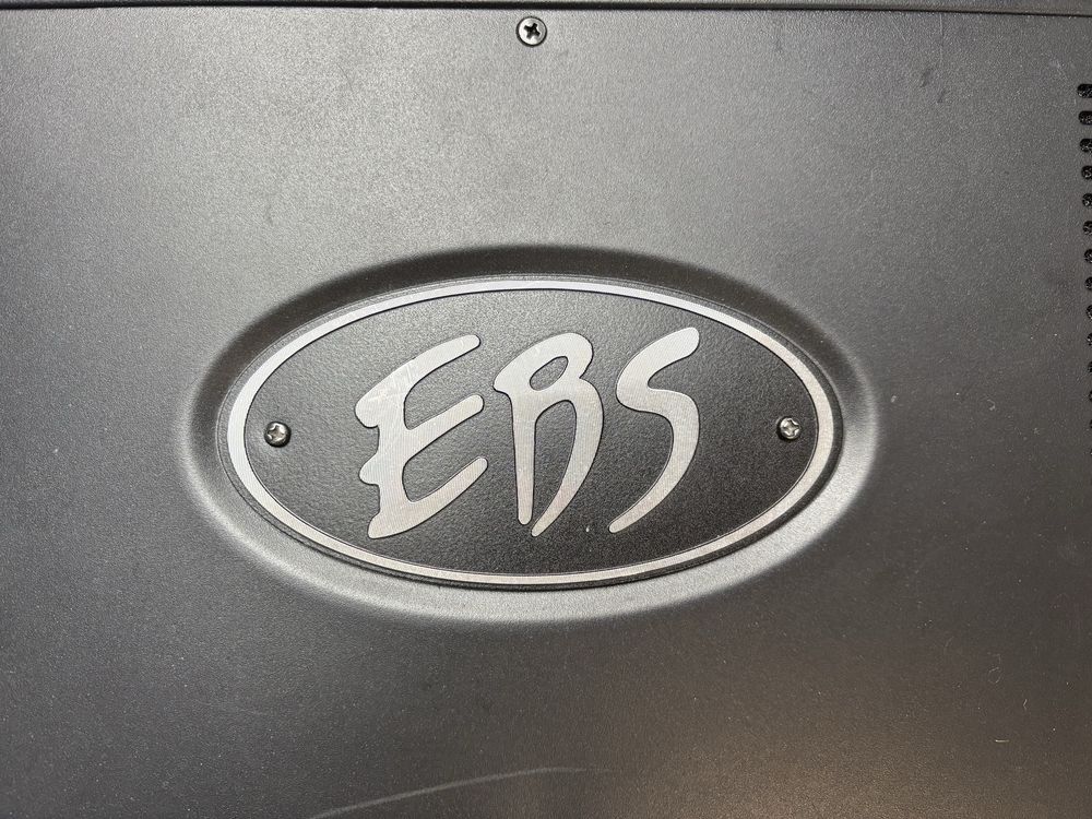 EBS Reidmar 250 wzmacniacz do gitary basowej