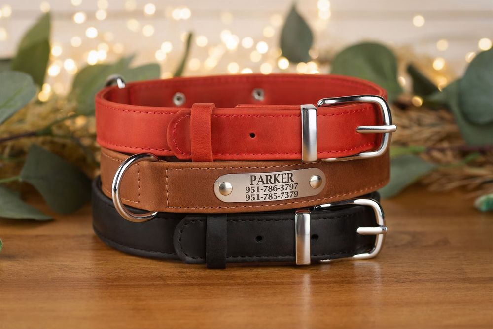 Поводок и Ошейник для Собак Кота Кошек ШкірянийCrazy Гравіювання Акція