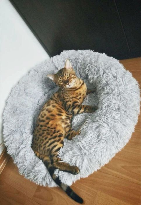 Лежанка для тварин Подушка мягкая