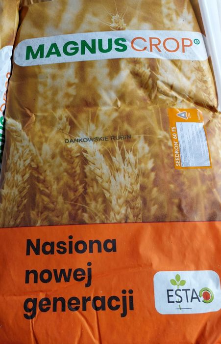 Żyto Ozime Rubin Dańkowskie Nasiona Kwalifikat C1