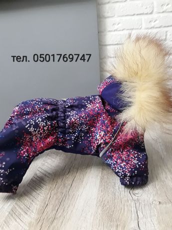 Одяг для собак (пошив на замовлення)