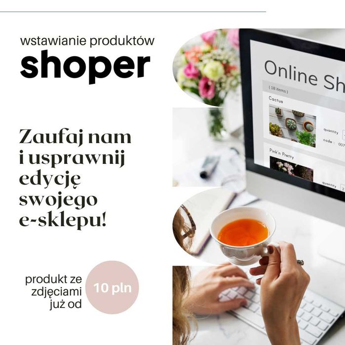 Profesjonalne wstawianie produktów do sklepu internetowego Shoper | FV