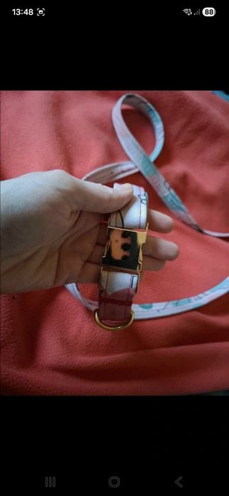 Obróżka i smyczka na małego pieska