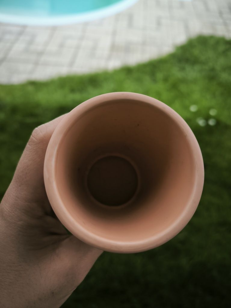 Vasos de plantas variados