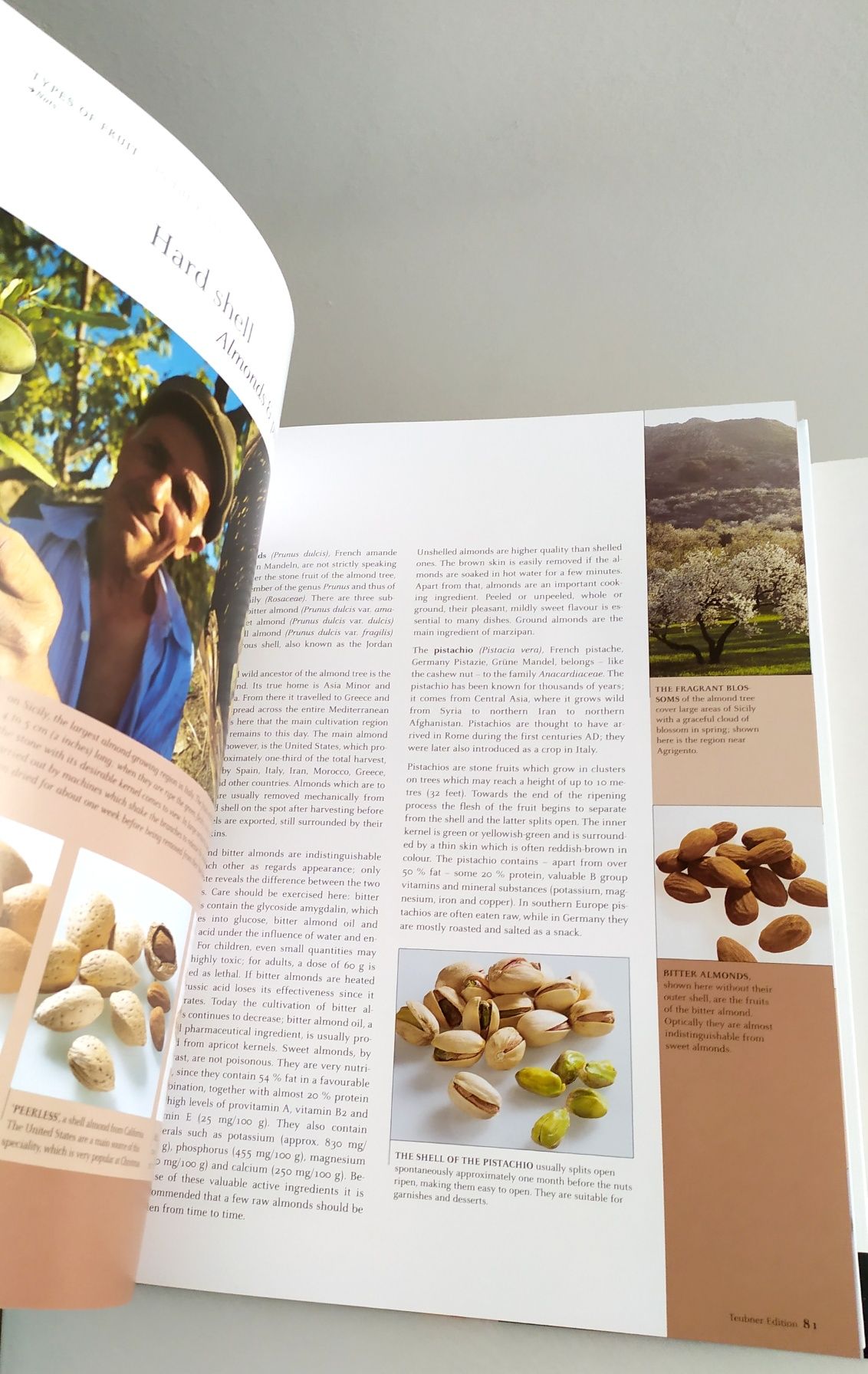 ENGLISH Book Fruit and Vegetables Христиан Тойбнер Фрукты Овощи Травы