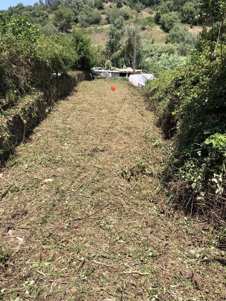 Limpeza terreno e corte arvores