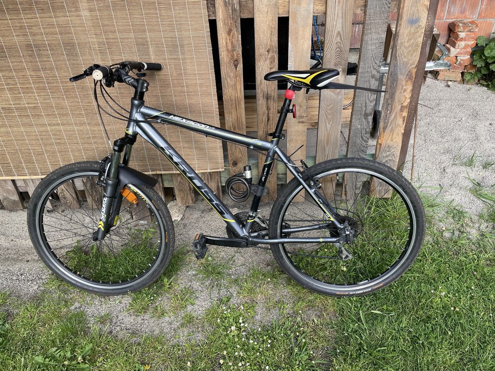 Kross Hexagon 5 roz. M(19)