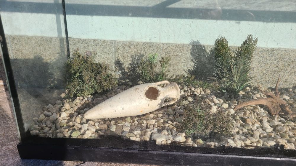 Aquario completo 120L