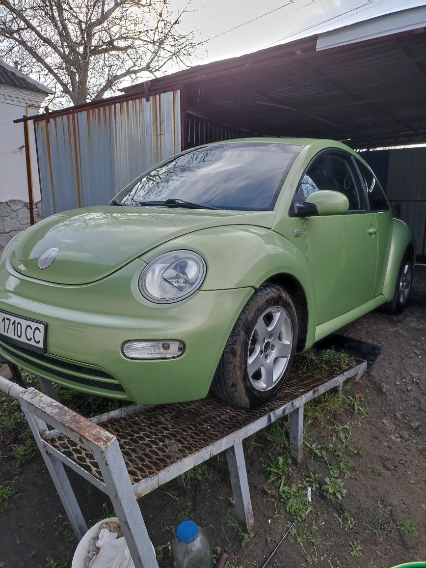 Volkswagen beetle