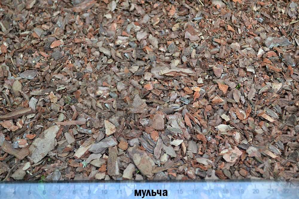 Соснова Кора для мульчування/ Велика, Середня, Мілка / Для клумби