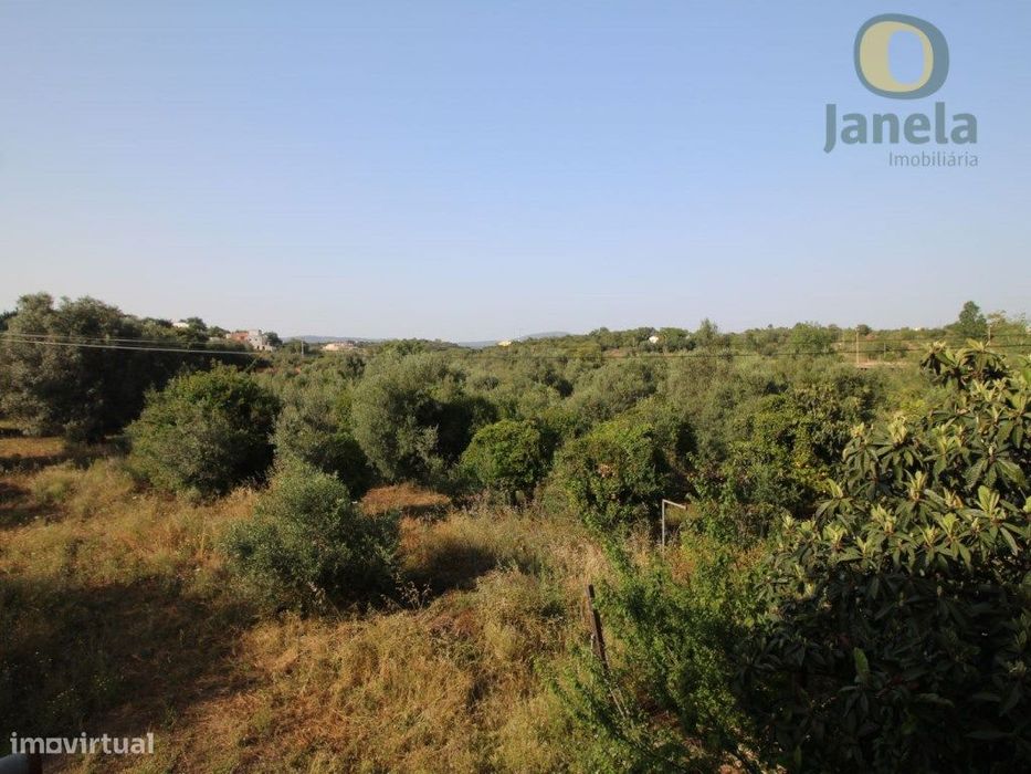 Terreno rústico com 3590 m2 bem localizado em Pechão