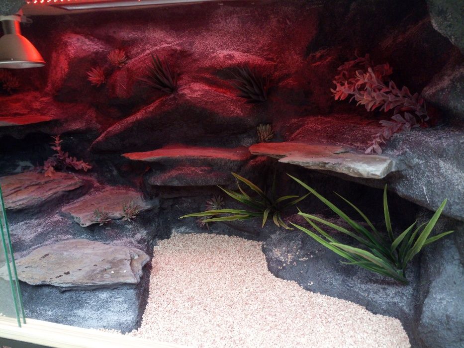 Terrarium pustynne nr59 drewniane- sosna 120/60/60 na zamówienie