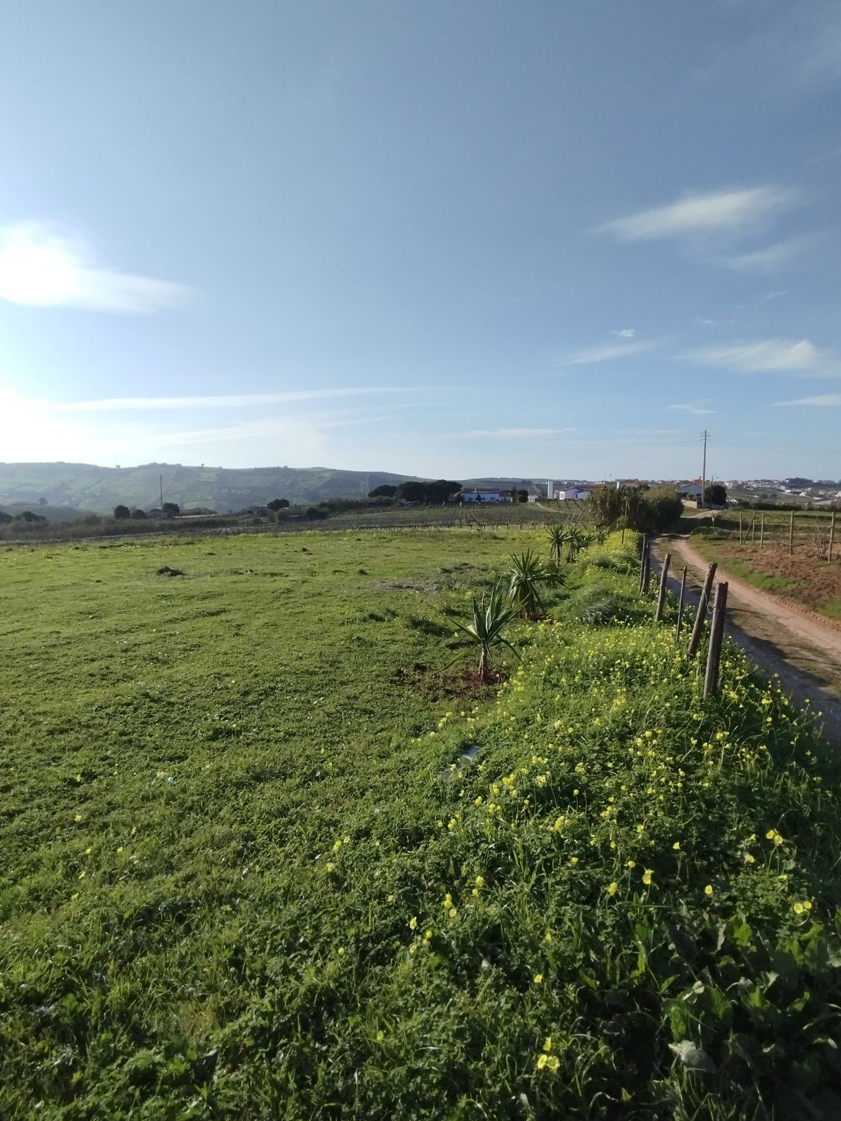 Terreno para Aluguer - Zona Previlegiada