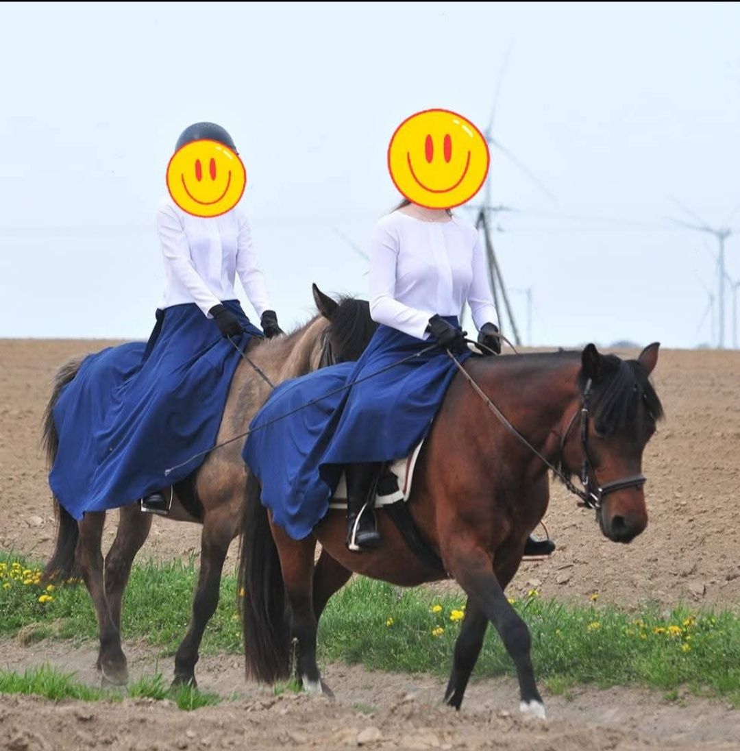 Hucuł. Klacz huculska, zajeżdżona. 2018r.