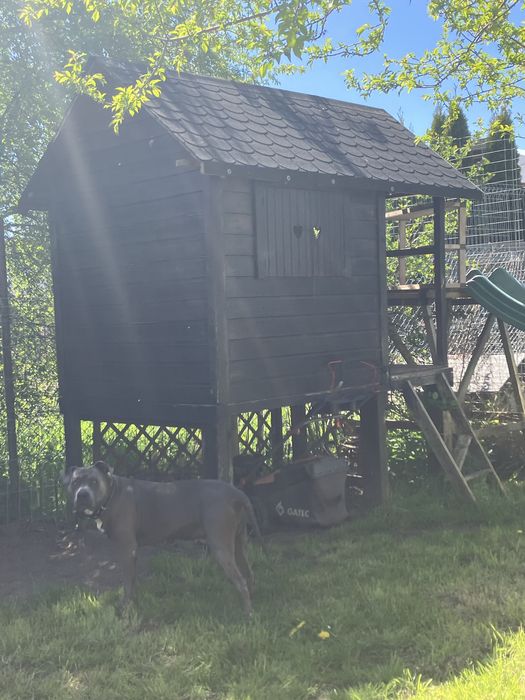 Domek drewniany ogrodowy dla dzieci zjezdzalnia