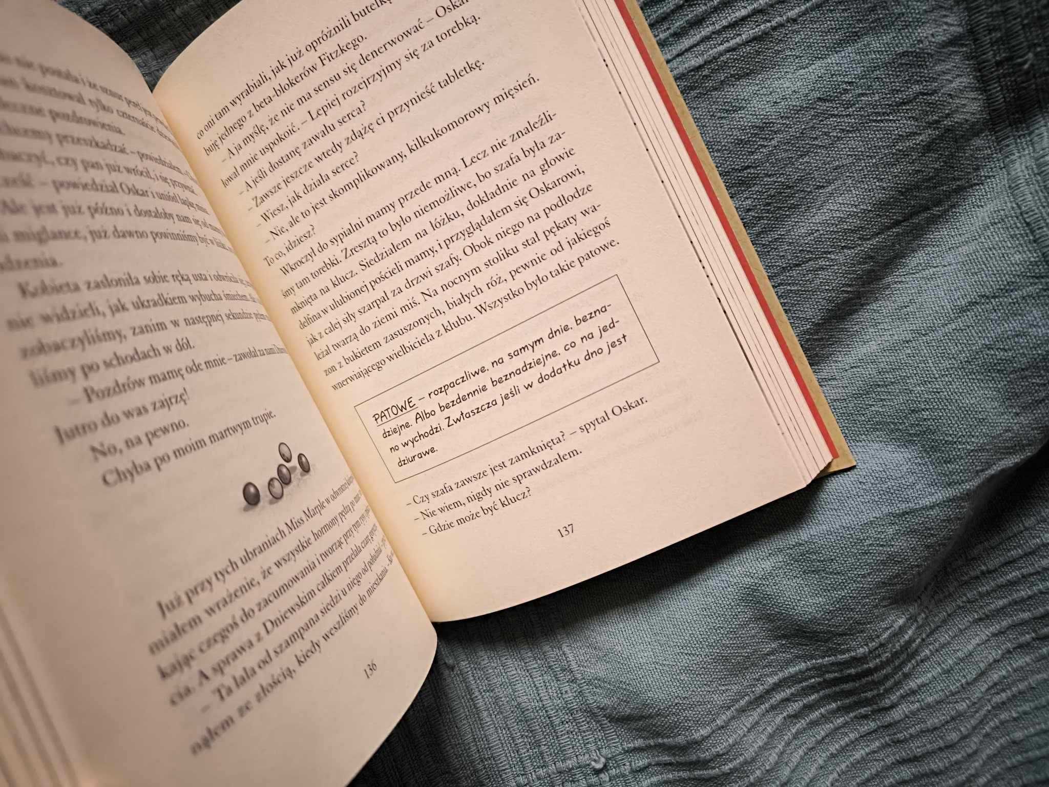 Rico, Oskar i złamanie serca, Andreas Steinhöfel, WAM, 8+