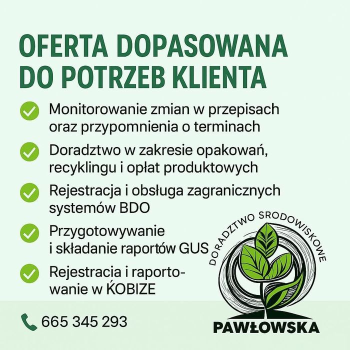 BDO,KOBIZE,LUCID, AUDYTY, EUDR sprawozdania  stała obsługa