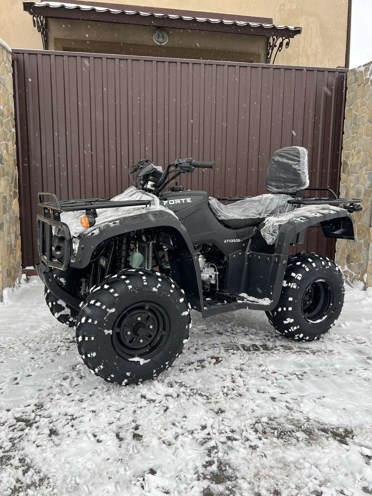 Квадроцикл Forte ATV250BS