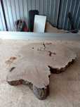 Plaster dębu po planowaniu