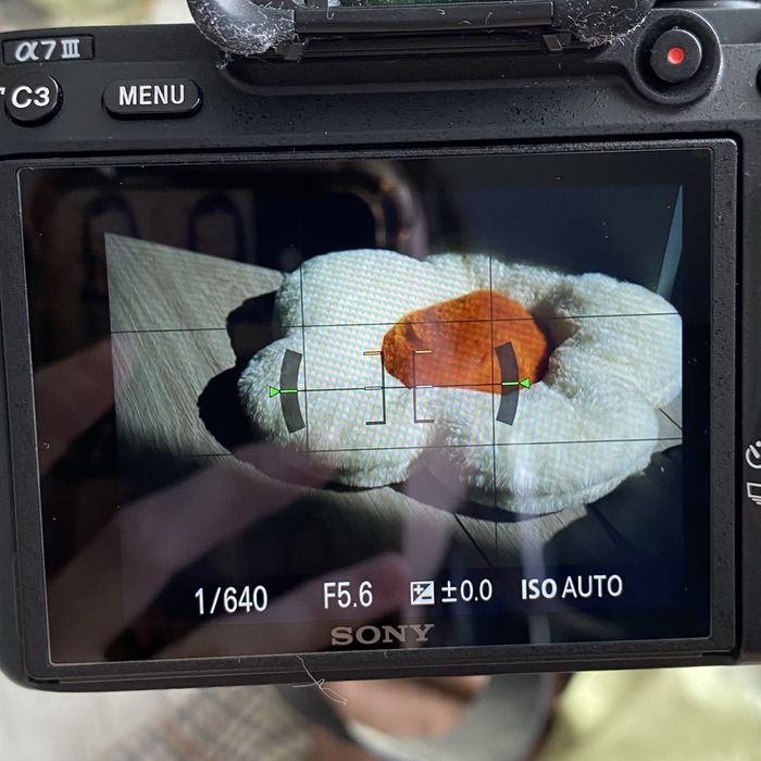 Sony Alpha A7 Mark III + FE 28-70mm f/3.5-5.6