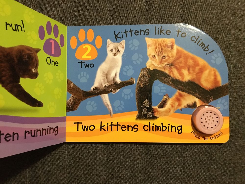 Let’s Count Noisy Kittens (livro em inglês com som)
