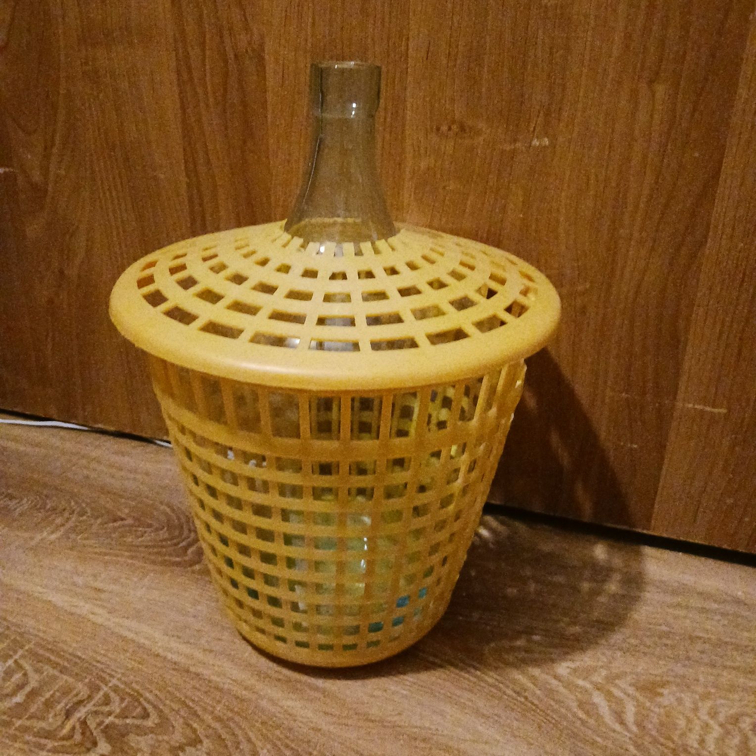Gąsior w koszu plastikowym