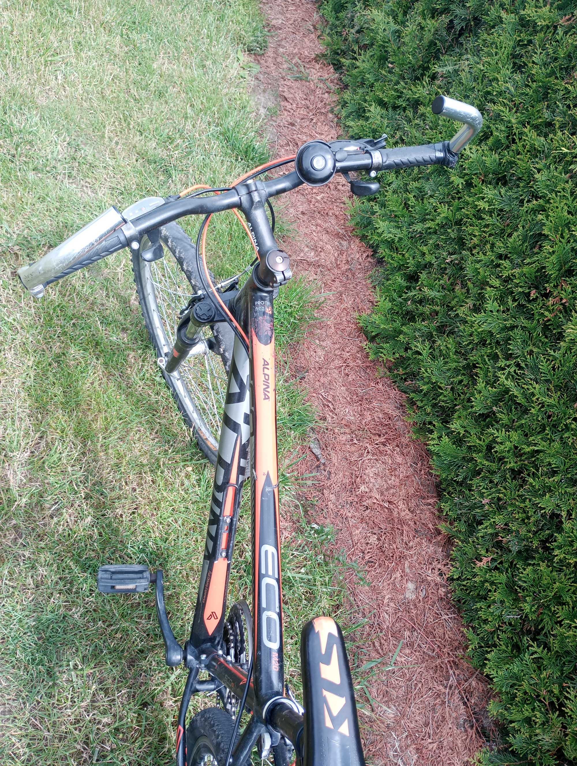 Rower Alpina Eco m 20