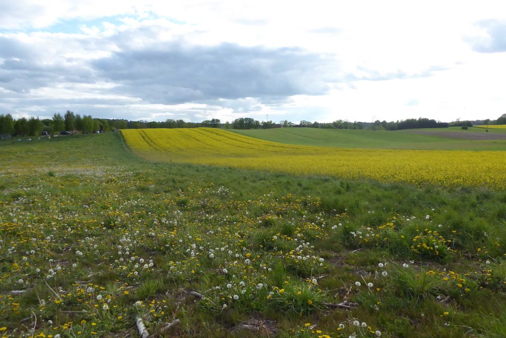 Idzbark -działka z warunkami zabudowy  ul. Kamratów
