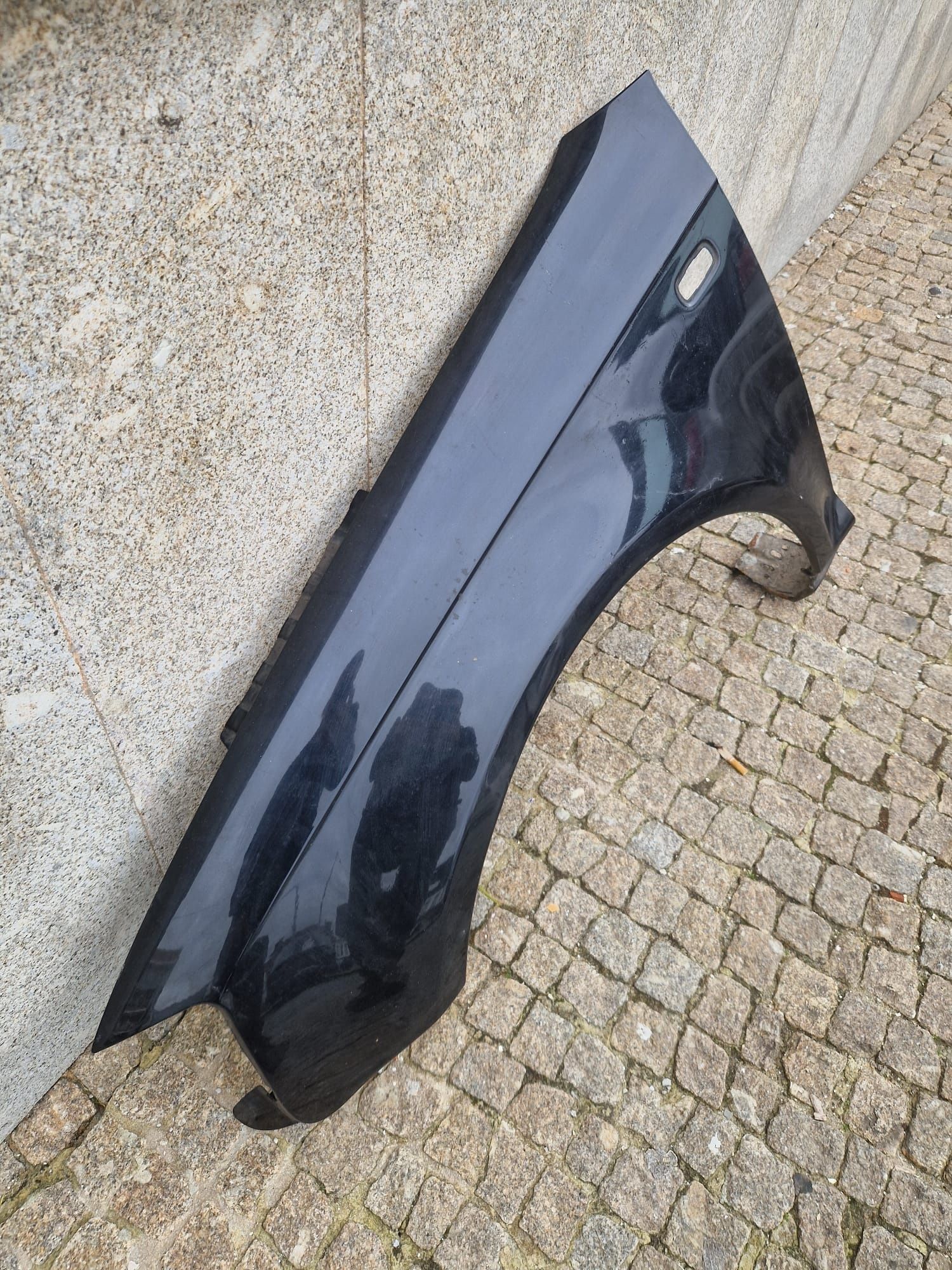 Guarda Lamas Audi A3 8P
