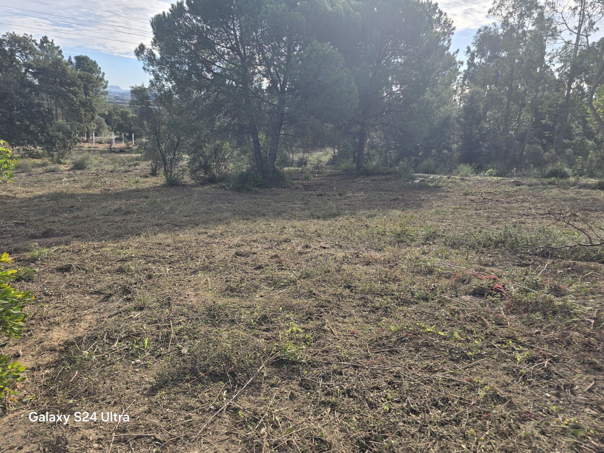 Vedação e Limpesa de terreno