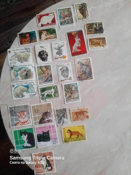 Марки, филателия