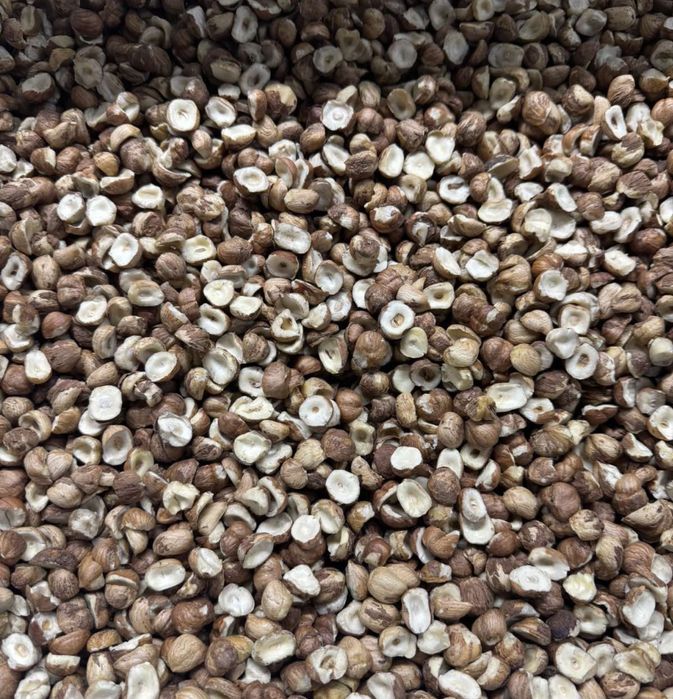 Очищений, чищений (фундук, ліщина, лісовий горіх) 2025 рік!!!