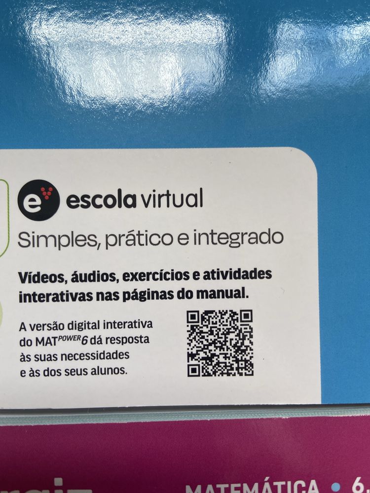 Manual e caderno de atividades de matematica do professor  de 6 ano