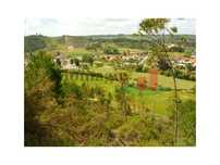 Terreno São João da Ribeira***RIOMAGIC***