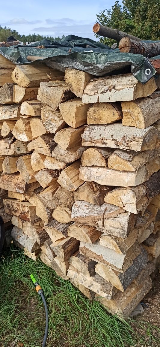 Drzewo kominkowe Brzoza osika sosna lipa
